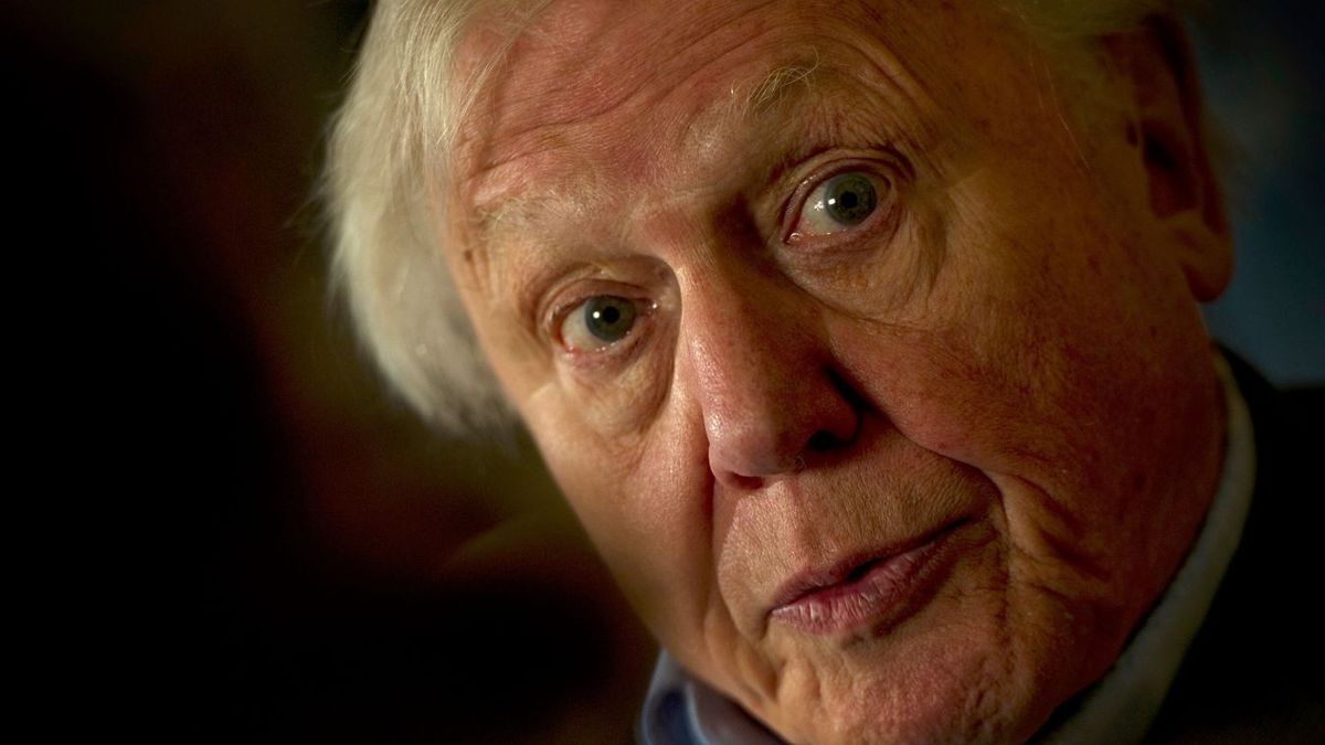 David Attenborough a Brit Birodalom gyermeke – és ahogy a világra tekint, abban még van valami ebből a birodalmi tudatból