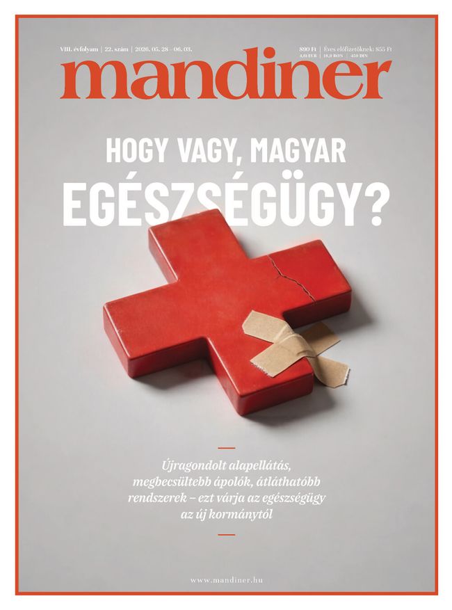 Hetilap: VIII. évfolyam 22. szám