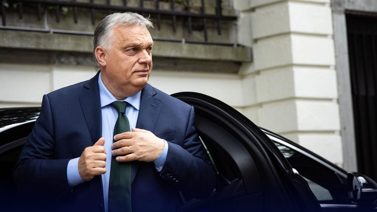 Magyar Péter nem tart igényt Orbán Viktor véleményére, pedig nem ártana