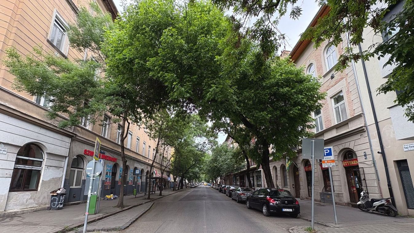 Megdőlt a fővárosi szélrekord