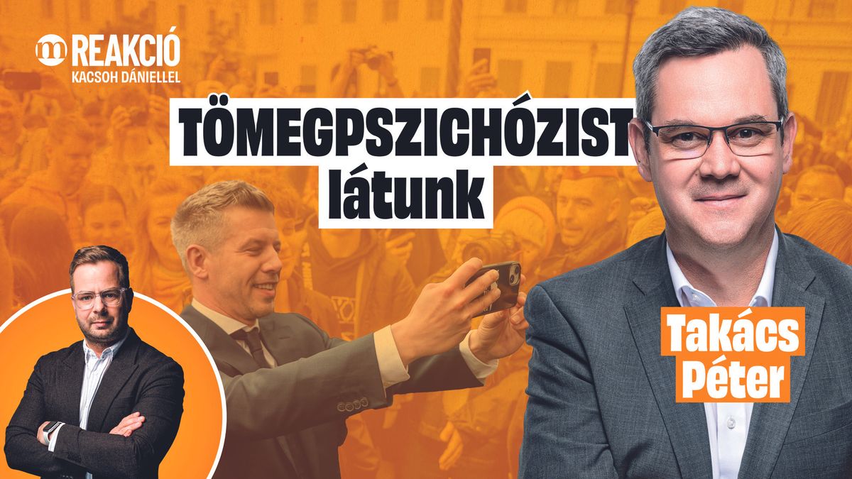 A választók azt akarták látni, hogy kis Matolcsyt elviszi a rendőrség | Takács Péter a REAKCIÓBAN (VIDEÓ)