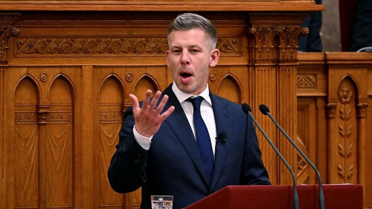 Magyar Péter visszaszólt Gaudi-Nagy Tamásnak: újabb részletek derülhetnek ki a kegyelmi ügyről