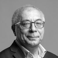 Néző László