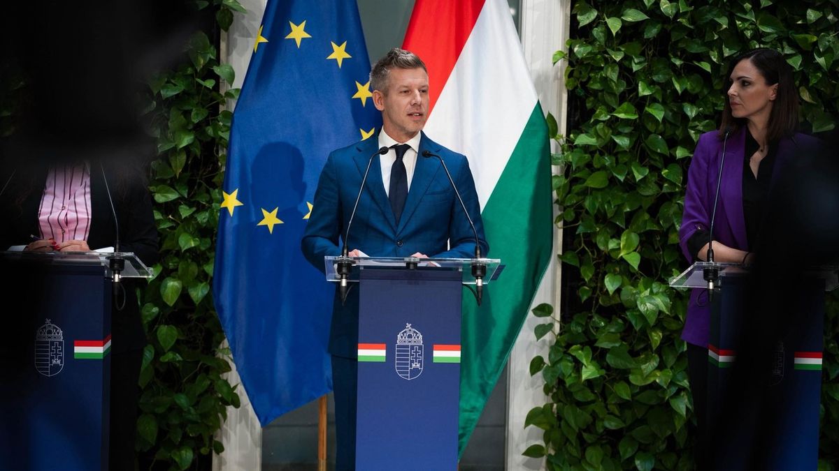 Gaudi-Nagy Tamás tiszta vizet öntött a pohárba, itt van minden, amit a kegyelmi ügyről tudni érdemes az ügyvéd szerint