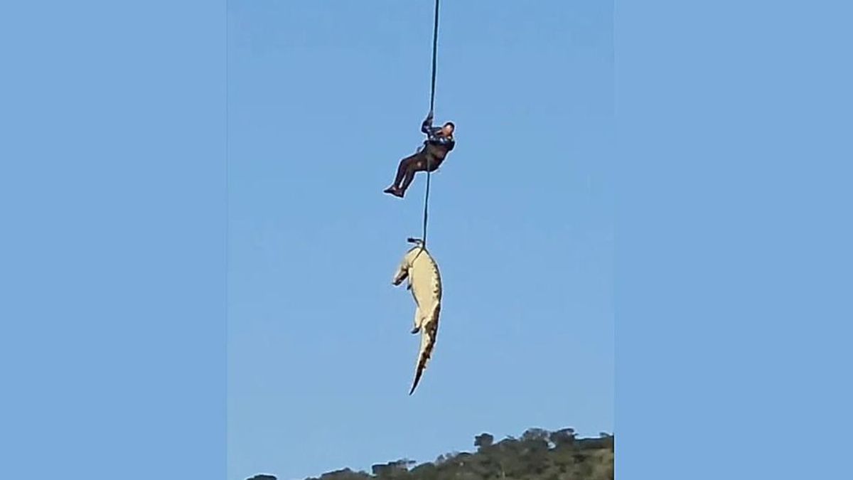 Elképesztő akció: helikopterrel emeltek ki a vadonból egy emberevő krokodilt (VIDEÓ)