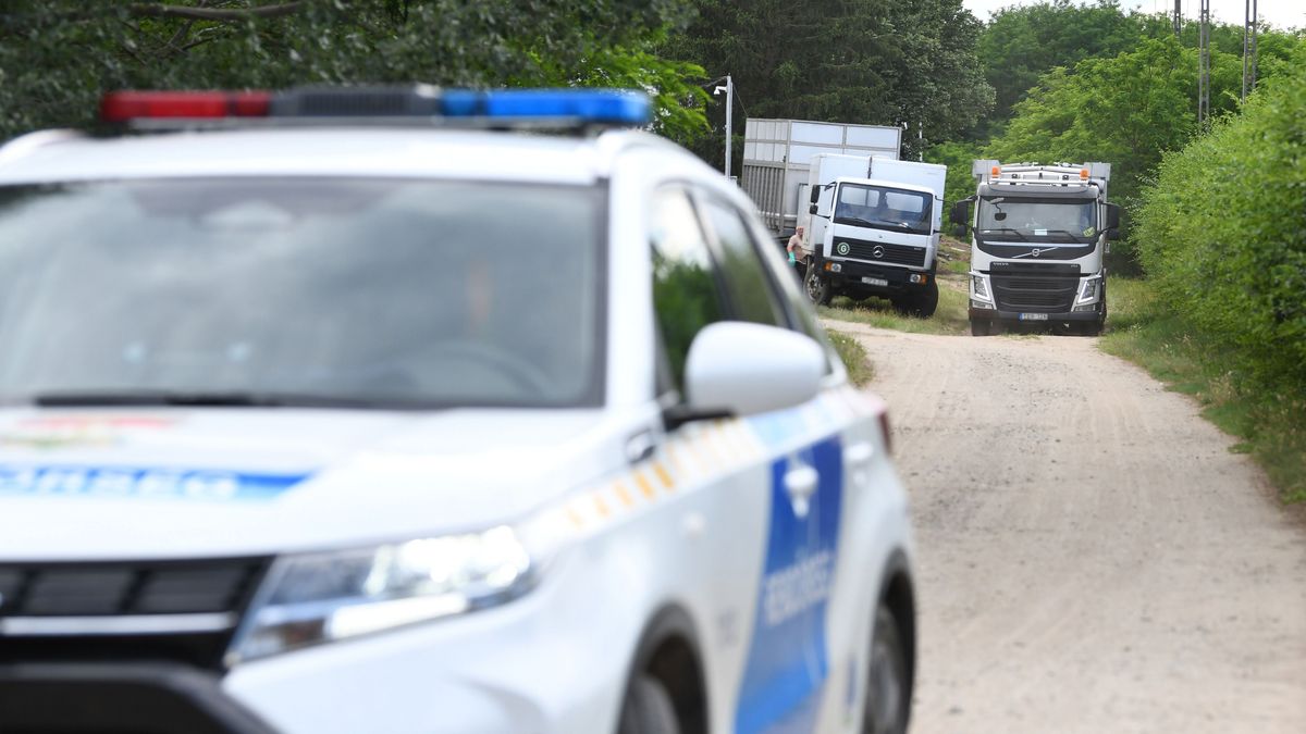Halálra verte beteg édesanyját egy Pest vármegyei férfi