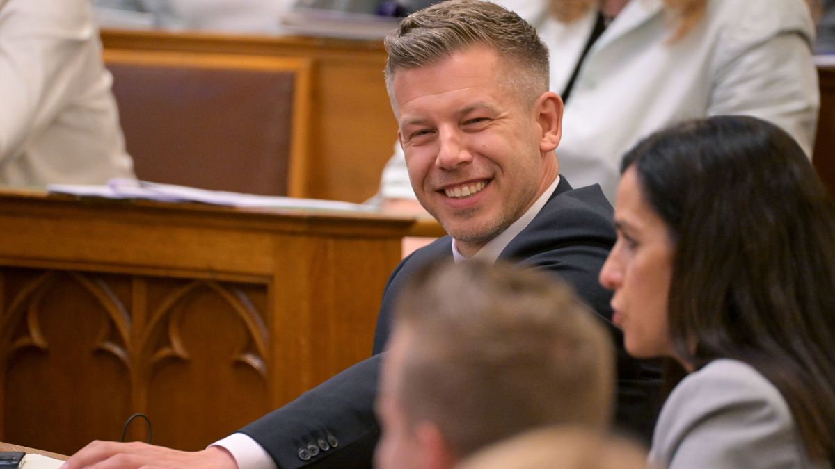 Bayer Zsolt a Mandiner államosításáról: Magyar Péter kijelentésében benne van 1919 és 1952 is