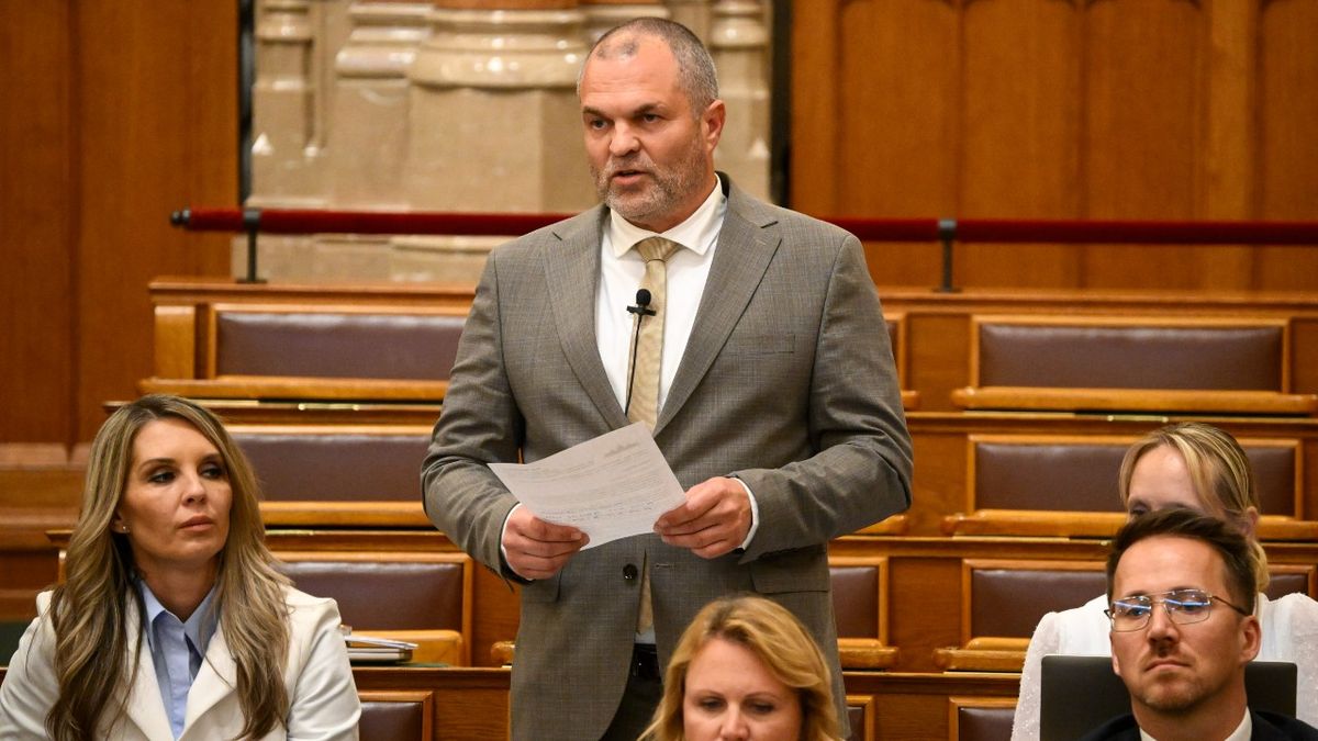 Sikkasztás miatt feljelentették, mégis ő lesz a Tisza közvagyon elvesztését vizsgáló politikusa