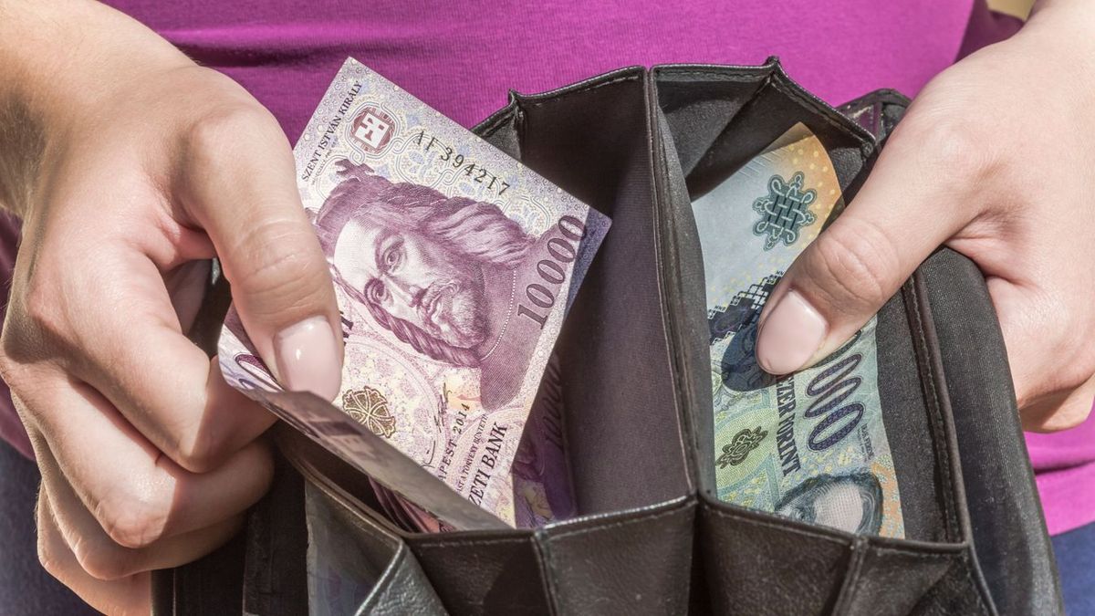 Odacsapott a forint a magyar vállalkozásoknak – súlyos és váratlan gondot kaptak a nyakukba