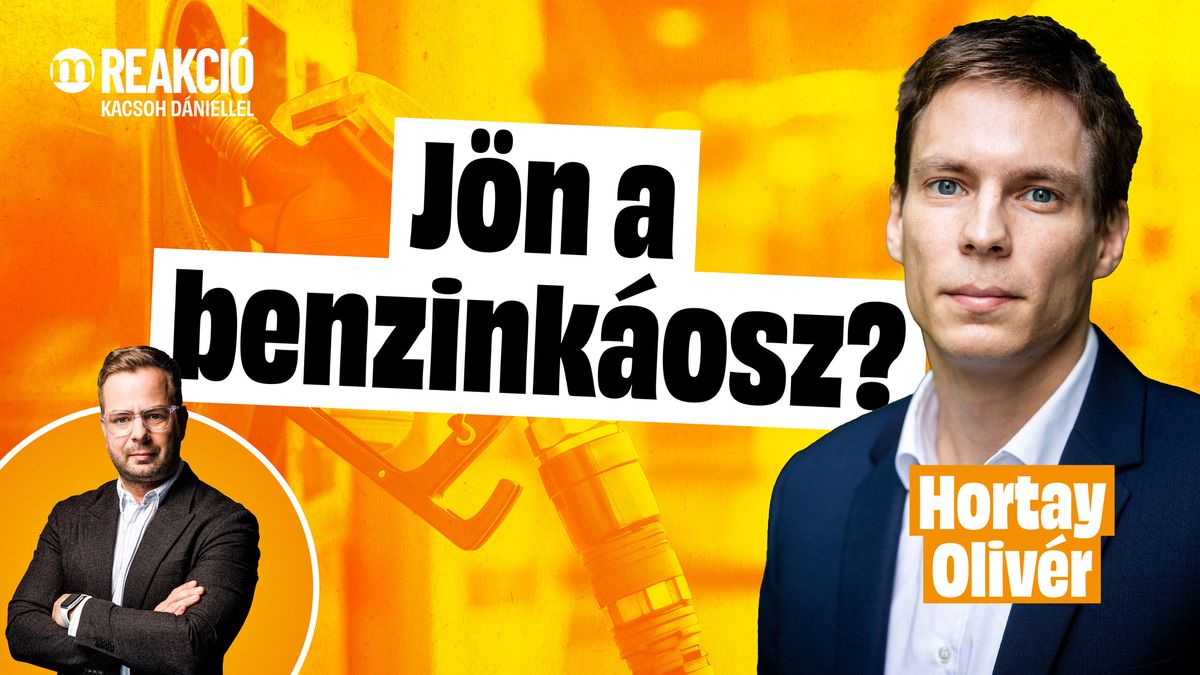 Ősszel eldől a rezsicsökkentés sorsa, Brüsszelnek is lehet szava | REAKCIÓ Hortay Olivérrel (VIDEÓ)