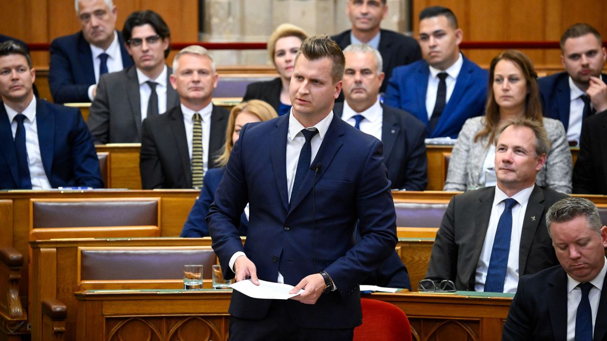 Azok a fránya külföldi kifejezések: hatalmasat bakizott a Parlamentben a tiszás képviselő (VIDEÓ)