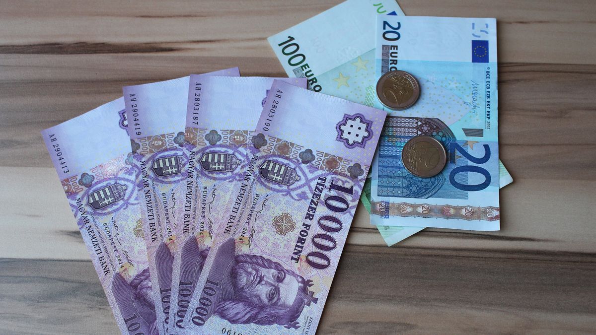 Kiderült, meddig lehet bivalyerős a forint