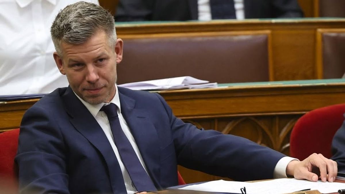 Magyar Péter a legrosszabb esetben is csak nyolc évig lehet miniszterelnök