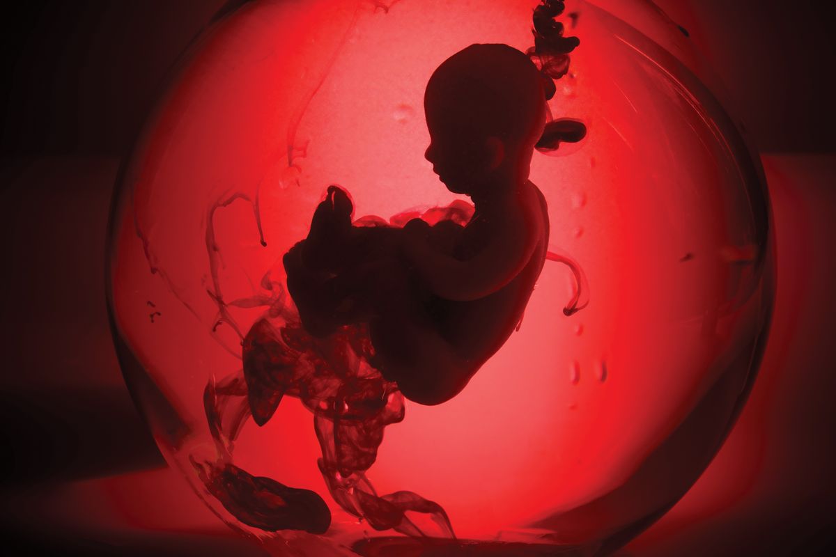 Abortion,Concept.,Baby,Doll,In,The,Red,Blood,Looks,Like
