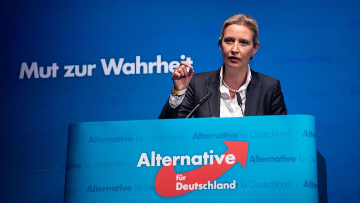 Retteg a német tudományos világ egy AfD-győzelemtől, mert a párt megszüntetné a genderképzést