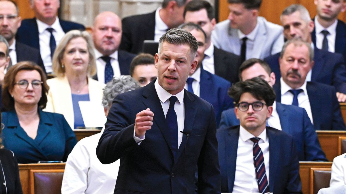 Megszólalt a Master Good vezére, segélykiáltás volt az elhíresült nyilatkozata, gazdasági katasztrófa lenne Magyar Péterék terve