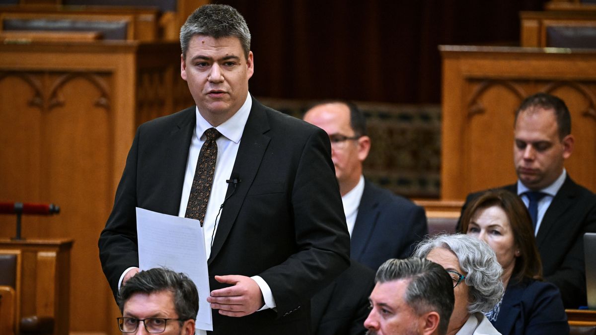 Csak dicsérik a Telex cikkében az újdonsült államtitkárt
