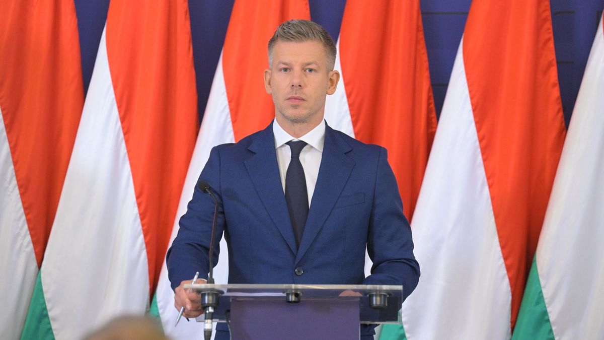 Magyar Péter bejelentette: ő irányítja a hőség miatti védelmi tevékenységet