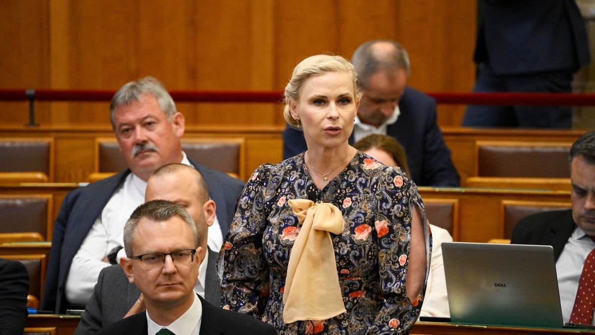 Hujber Ferenc “kedves” üzenete nekem: „Pofád lapos Hajni!”