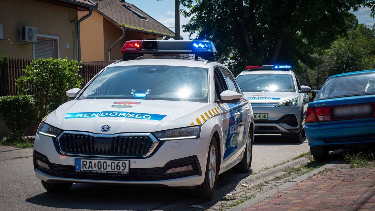 RTL: zavartan ült a fővárosi kertben a 21 éves fiú, mialatt édesanyja elvérzett a teraszon