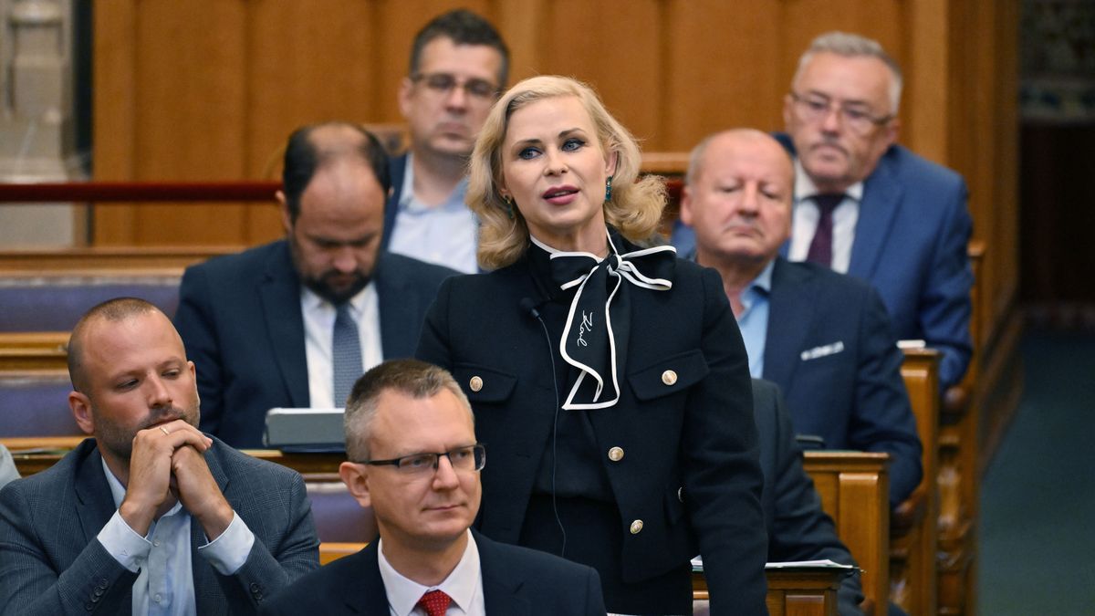 Juhász Hajnalka: „Ha még egyszer így beszél, kimegyek a parlamentből” – lemondásra szólították fel a tiszás politikust