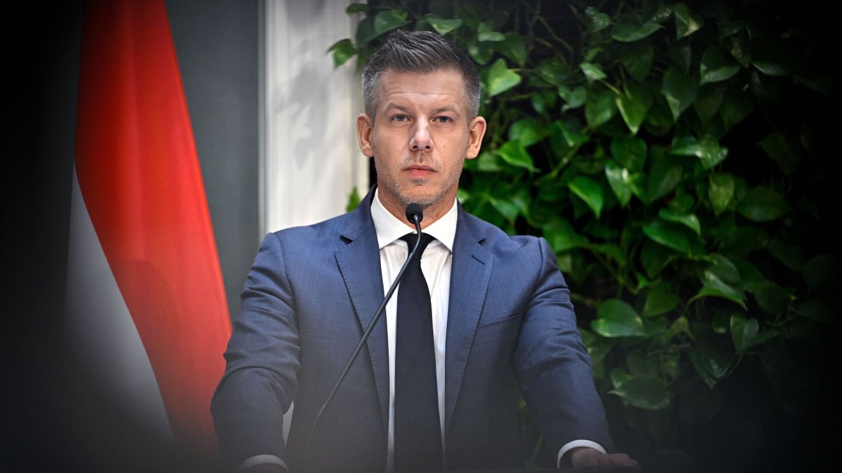 Magyar Péter nyaralás közben a Redditen közölte, kiket váltana még le