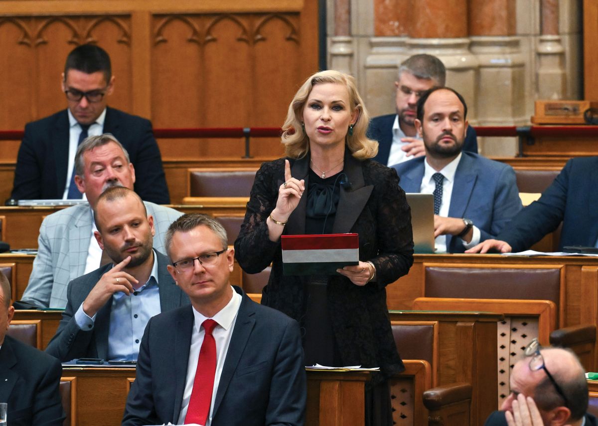 JUHÁSZ Hajnalka