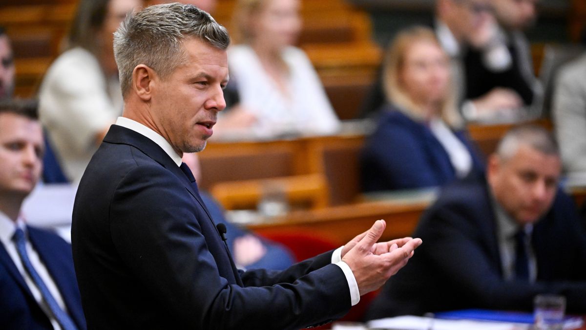 Magyar Péter: Legalább tíz komolyan vehető államfőjelöltre érkezett javaslat