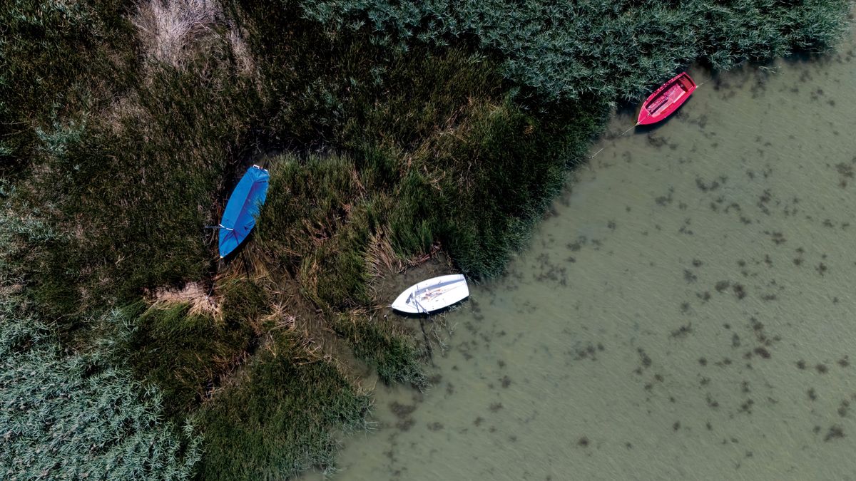 Miénk a Balaton, de meddig? Ha nem vigyázunk, a Velencei-tó sorsára juthat