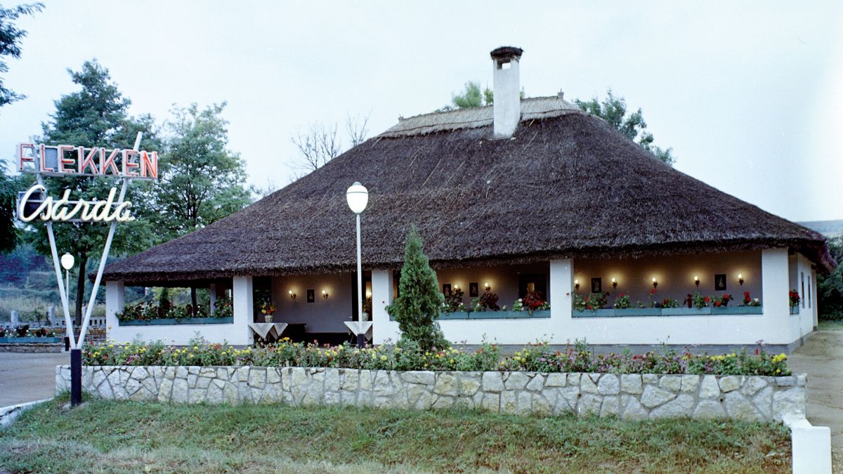 Szakály Sándor: Balatoni nyarak II.