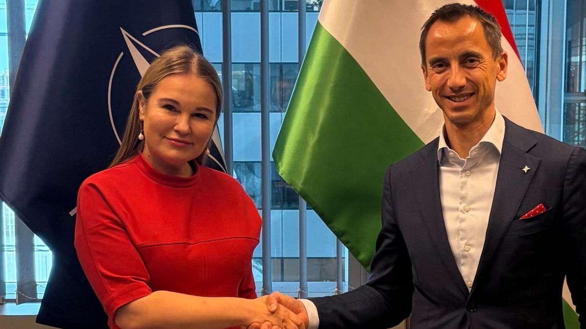„Egy valóban pozitív és tartalmas találkozó” – NATO-csúcs előtt egyeztetett a magyar külügy az ukránokkal