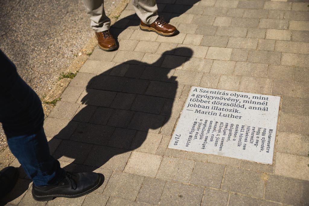 Pomáz-Csobánkai Református Társegyházközség
hitélet reformátusok
20260726 Csobánka
fotó: Németh András Péter NAP Szabad Föld