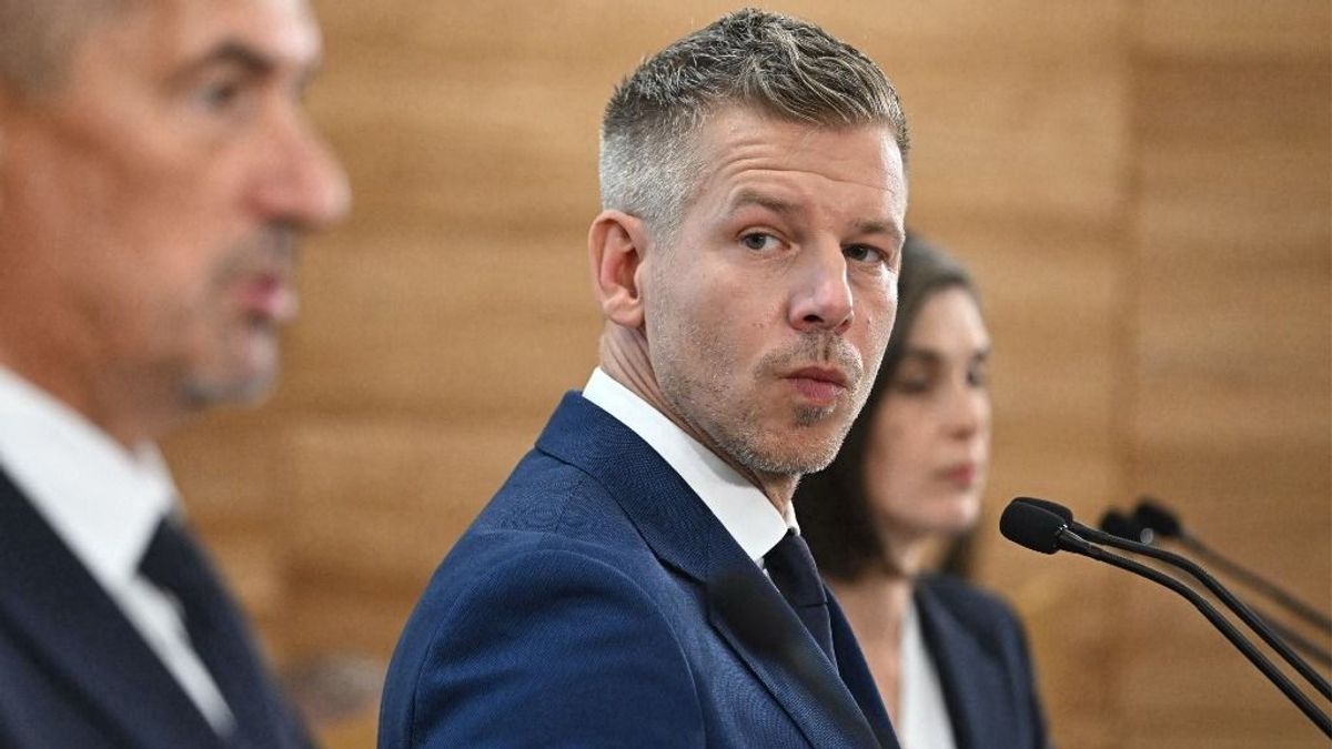 Tiszteletteljes javaslatom volna