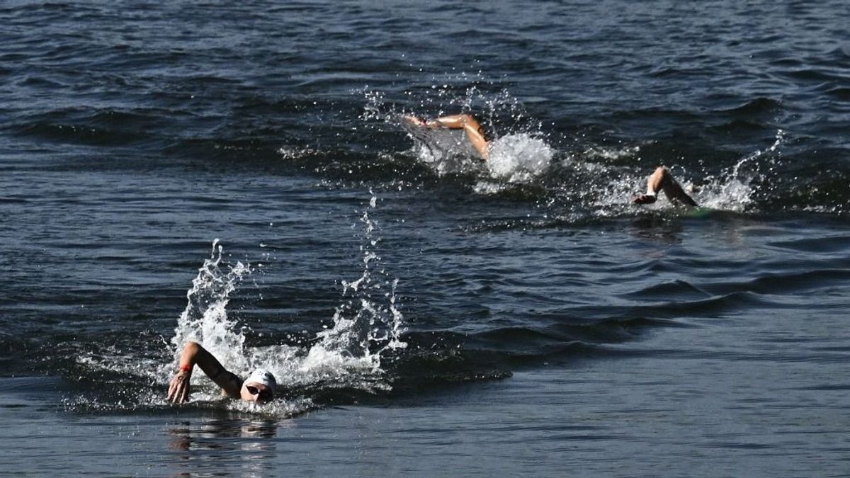 Bronzérmes lett a magyar nyíltvízi váltó párizsi vizes Eb-n