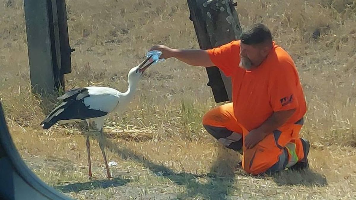 Nagy erőkkel keresi az ország a férfit, aki megitatott egy gólyát