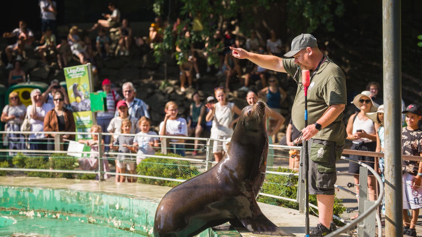 Zoo mi szó
